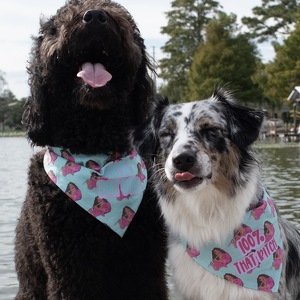 Fundraising Page: Rachael Milovich